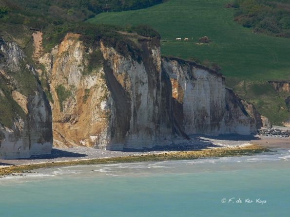Falaise de Pourville (2) 
